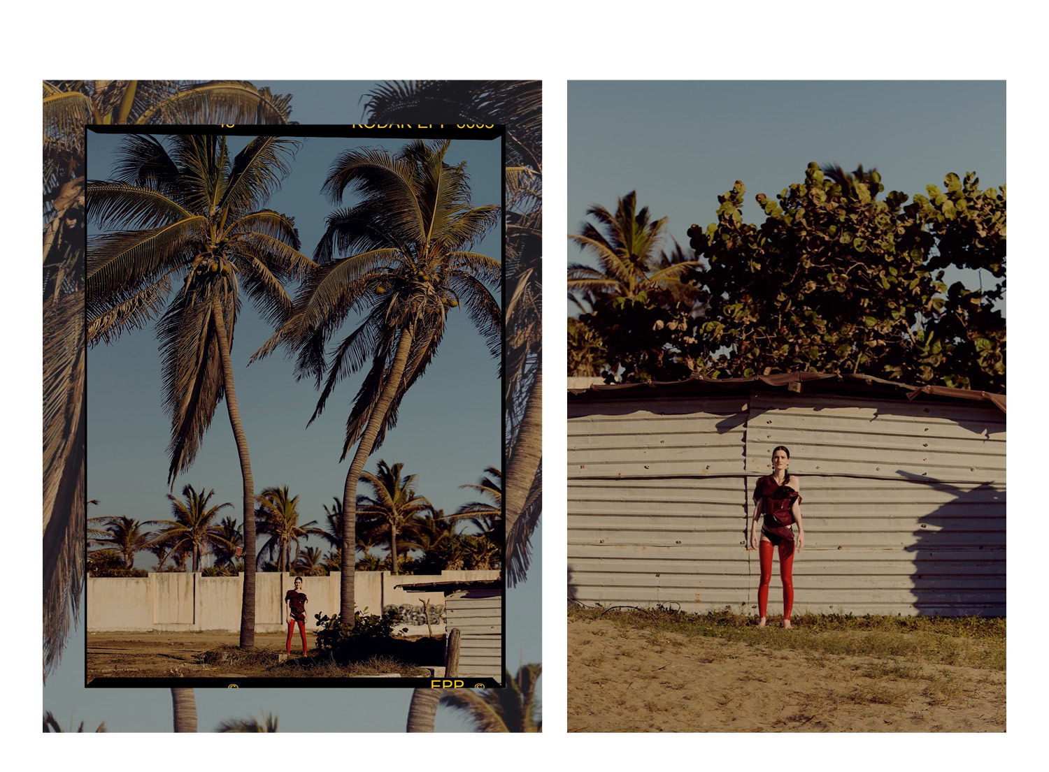 Alexander Perez - Sunset7