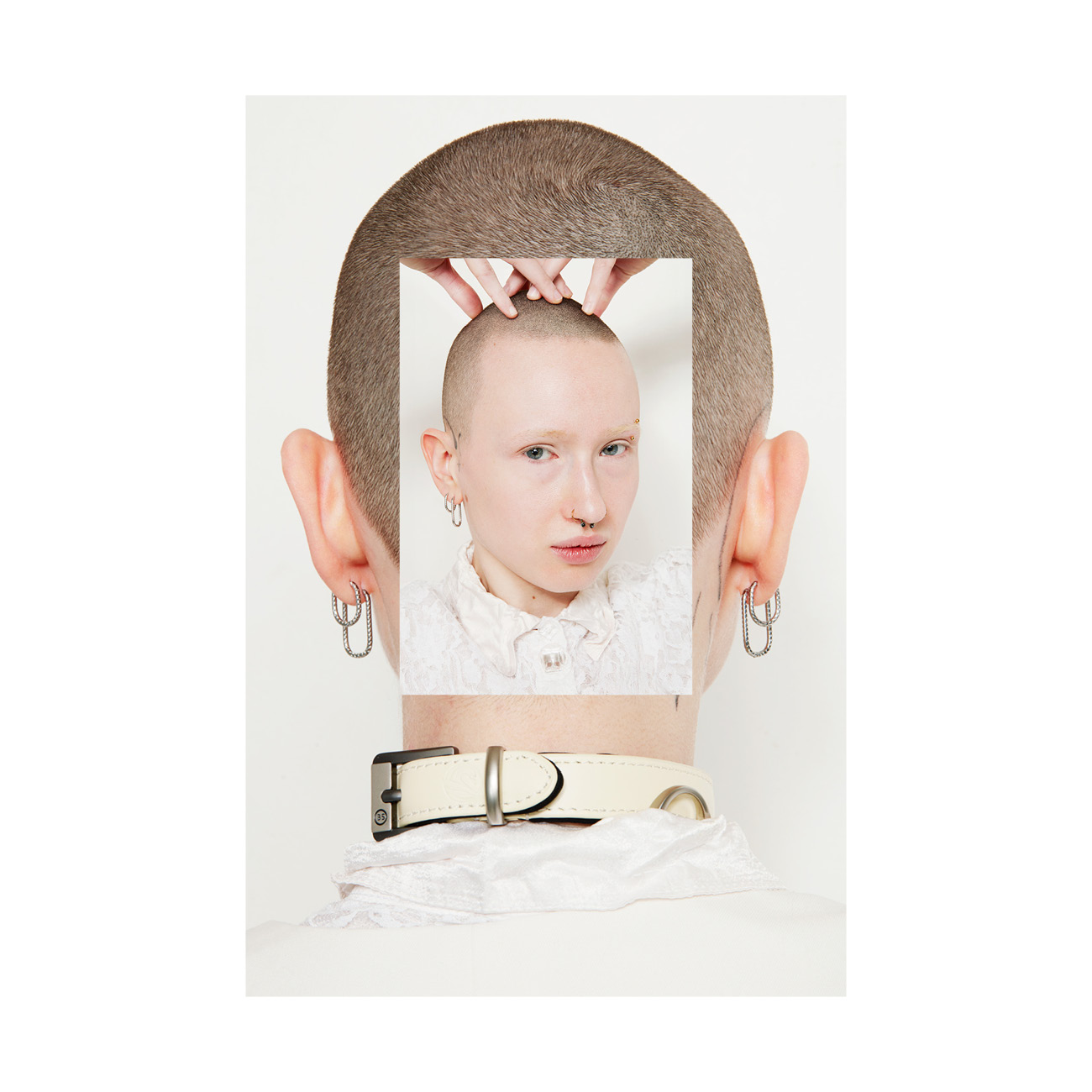 Bruno Clement - Daring Grace6